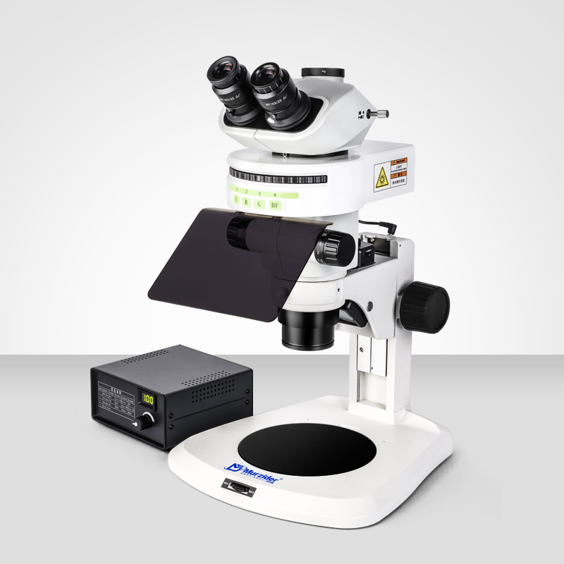 MSD518同軸光體視熒光顯微鏡